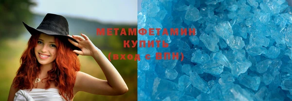 прущие грибы Абаза