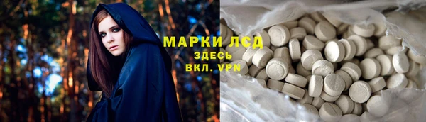прущие грибы Абинск