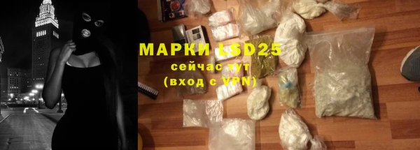прущие грибы Абаза