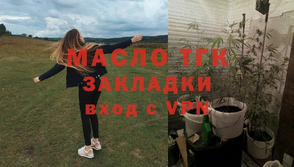 прущие грибы Абинск