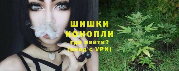 прущие грибы Абинск